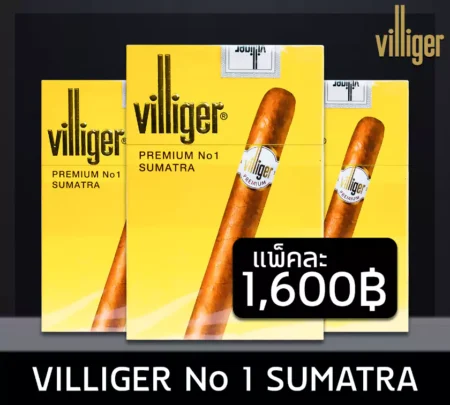 villiger No 1 SUMATRA